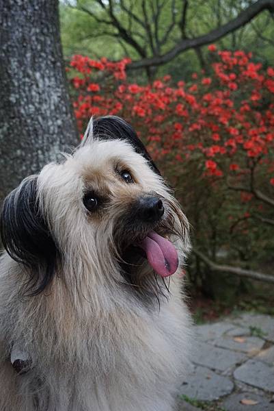 _DSC02675 _DSC02675