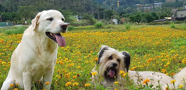 _20180121_103320 (1) _20180121_103320 (1)