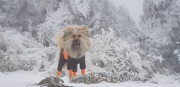 20180203_101358 20180203_101358