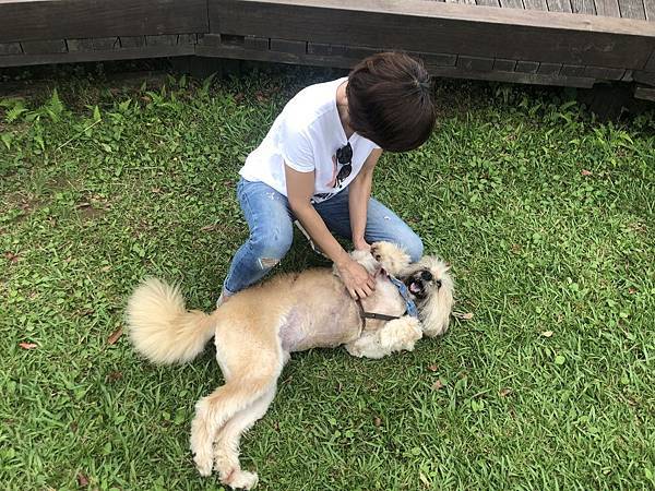 _IMG_1834.JPG _IMG_1834.JPG