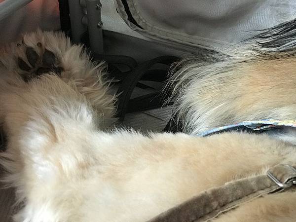 _IMG_5762.JPG _IMG_5762.JPG