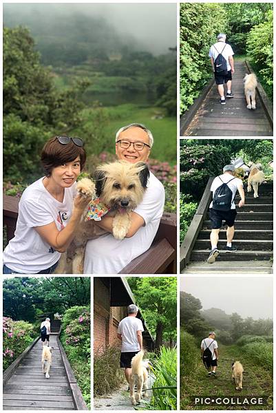 _IMG_5853.JPG _IMG_5853.JPG