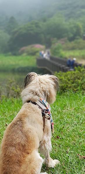 _IMG_5865.JPG _IMG_5865.JPG