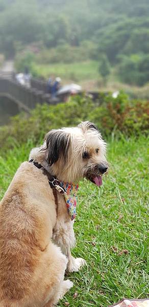 _IMG_5866.JPG _IMG_5866.JPG