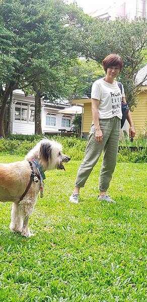 _IMG_5972.JPG _IMG_5972.JPG