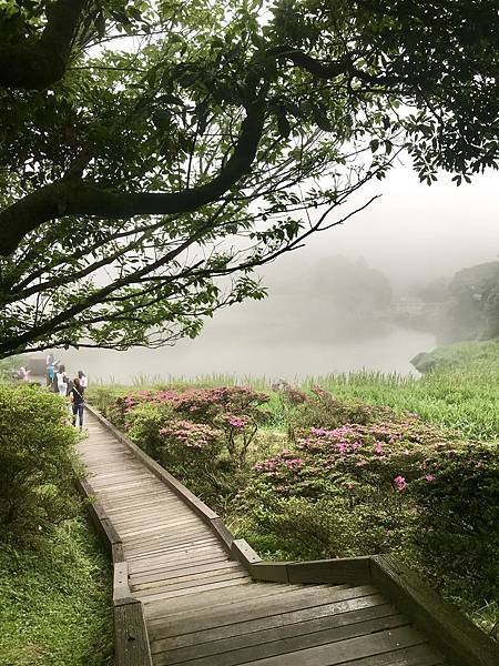 _IMG_E5694.JPG _IMG_E5694.JPG