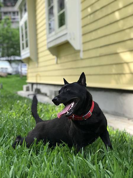 _IMG_E5808.JPG _IMG_E5808.JPG