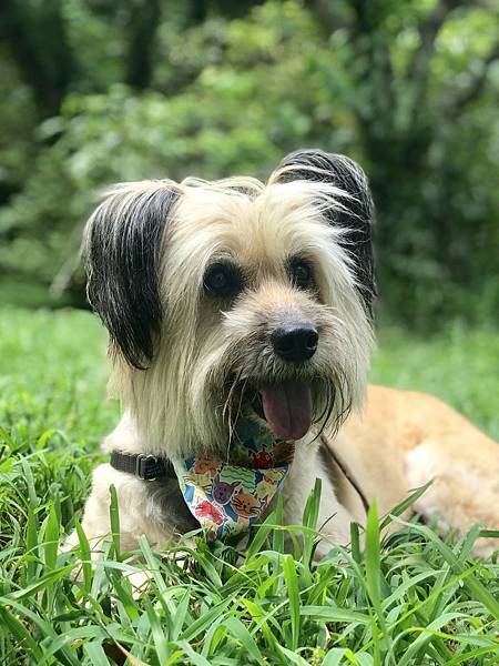 _IMG_E5880.JPG _IMG_E5880.JPG