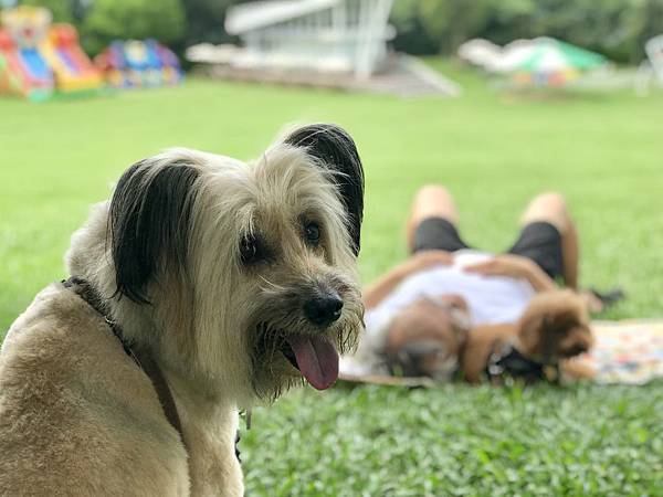 _IMG_E5236.JPG _IMG_E5236.JPG