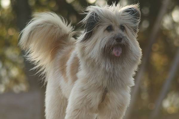 _055A2575.JPG _055A2575.JPG