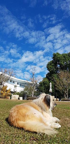 _20181228_102532.jpg _20181228_102532.jpg