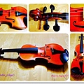 Violin_Gliga.jpg