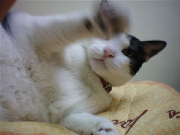 照片 053.jpg