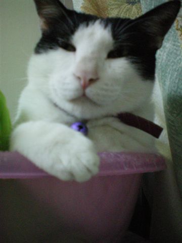 100_0117.jpg