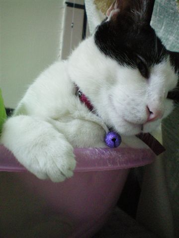 100_0120.jpg