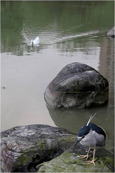 20130221雨後閒晃-10