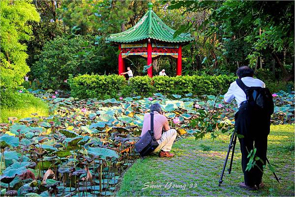 20130710植物園-20