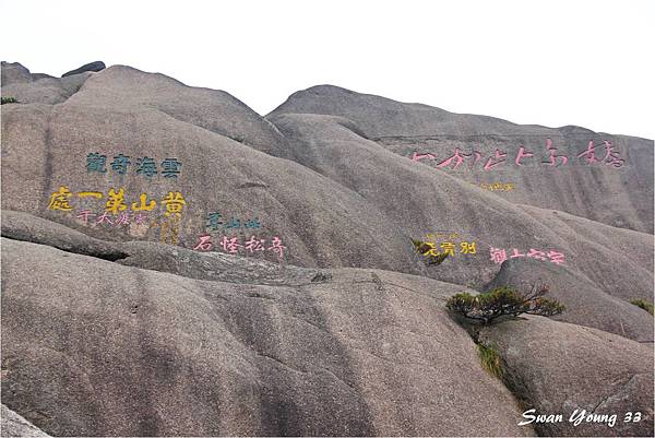 黃山-013