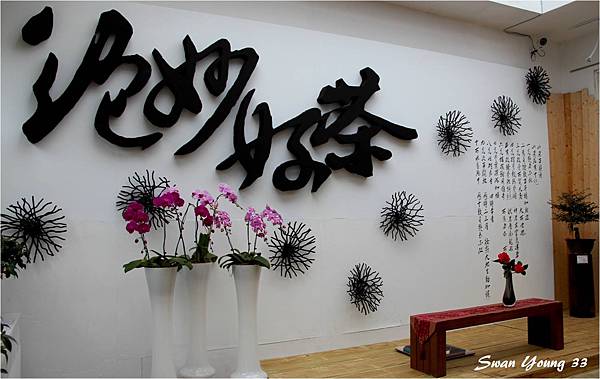 2014茶花展-22