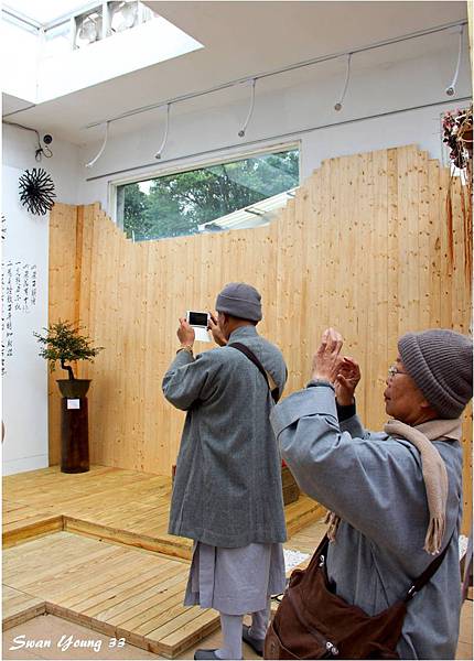 2014茶花展-23