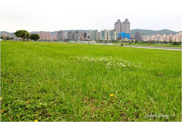 迎風河濱公園-02