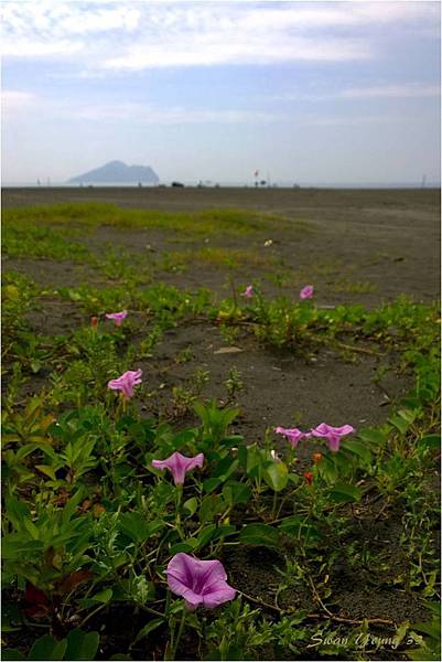 東北角一-09