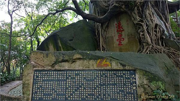 雨中福州-33