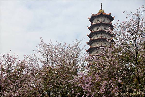 西禪寺-15