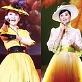 2007演唱會014.jpg