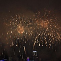 2010農曆年香港煙花匯演
