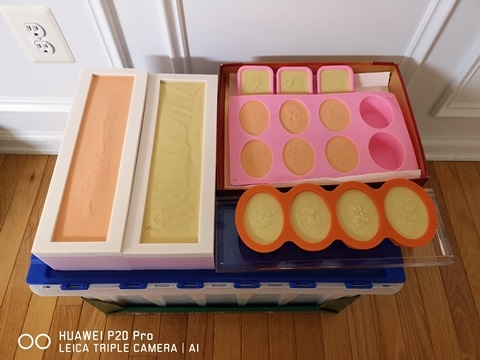 IMG_20181101_121339 IMG_20181101_121339