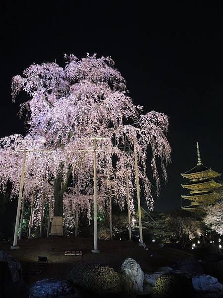 DSCN1915.JPG DSCN1915.JPG