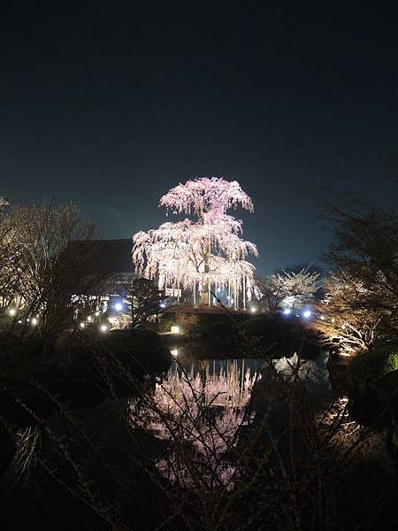 DSCN1924.JPG DSCN1924.JPG