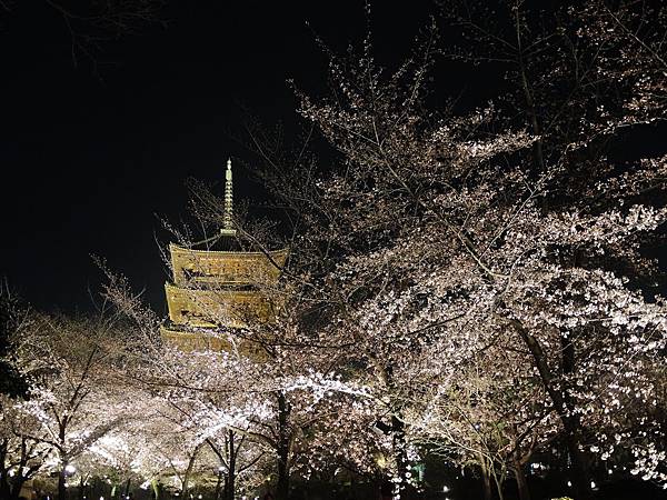 DSCN1929.JPG DSCN1929.JPG