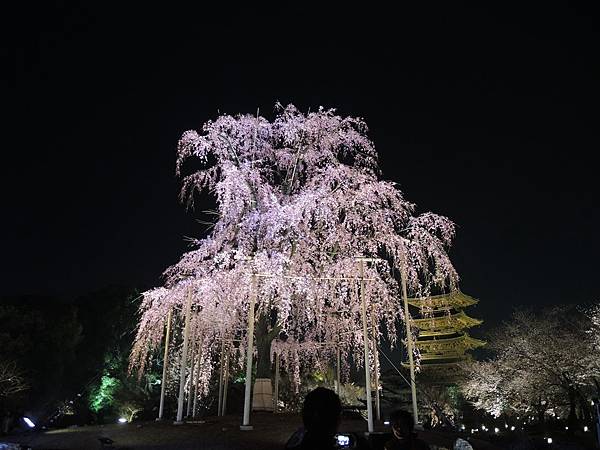 DSCN1908.JPG DSCN1908.JPG