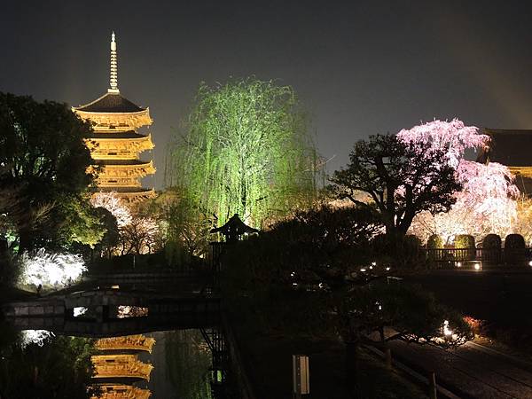 DSCN1933.JPG DSCN1933.JPG