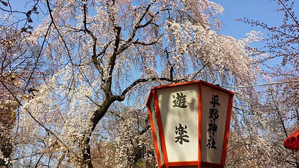 20150330_142103.jpg 20150330_142103.jpg