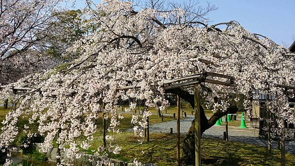 20150330_101939.jpg 20150330_101939.jpg