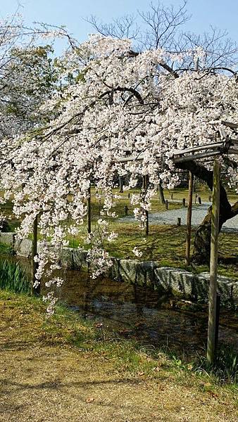 20150330_101947.jpg 20150330_101947.jpg