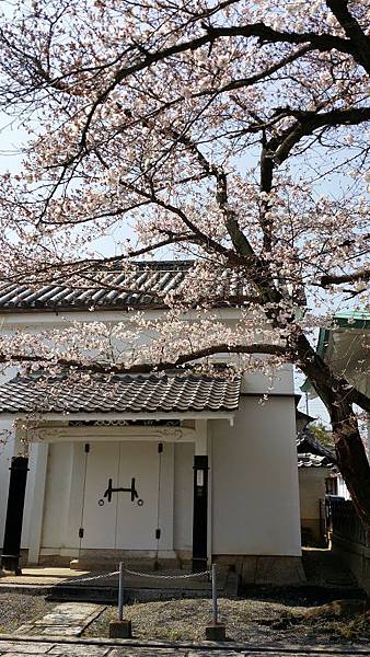 20150330_122832.jpg 20150330_122832.jpg