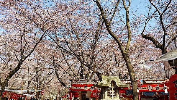 20150330_141817.jpg 20150330_141817.jpg