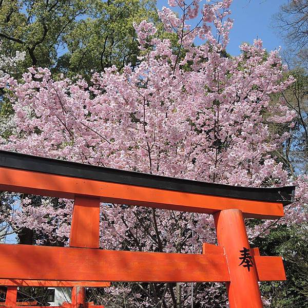 DSCN2000.JPG DSCN2000.JPG