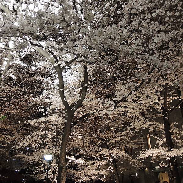 DSCN2094.JPG DSCN2094.JPG