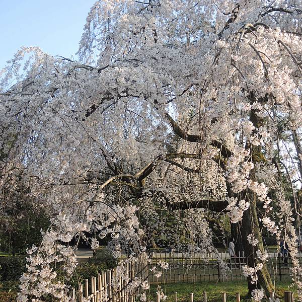 DSCN2040.JPG DSCN2040.JPG