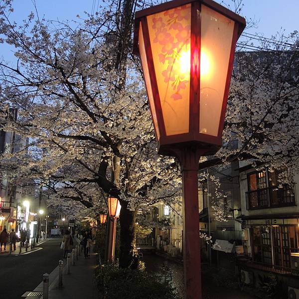 DSCN2079.JPG DSCN2079.JPG