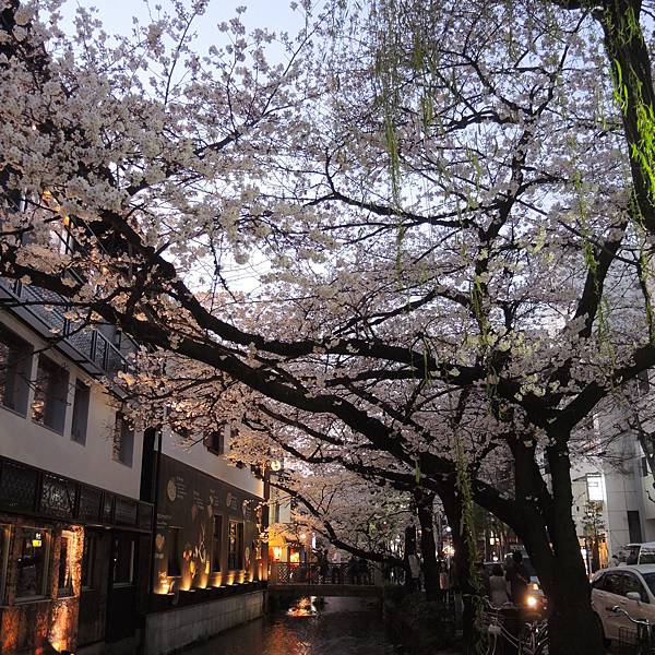 DSCN2073.JPG DSCN2073.JPG