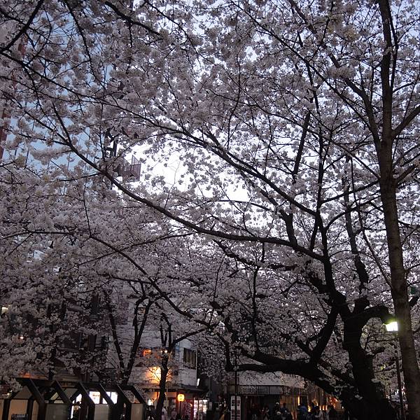 DSCN2068.JPG DSCN2068.JPG