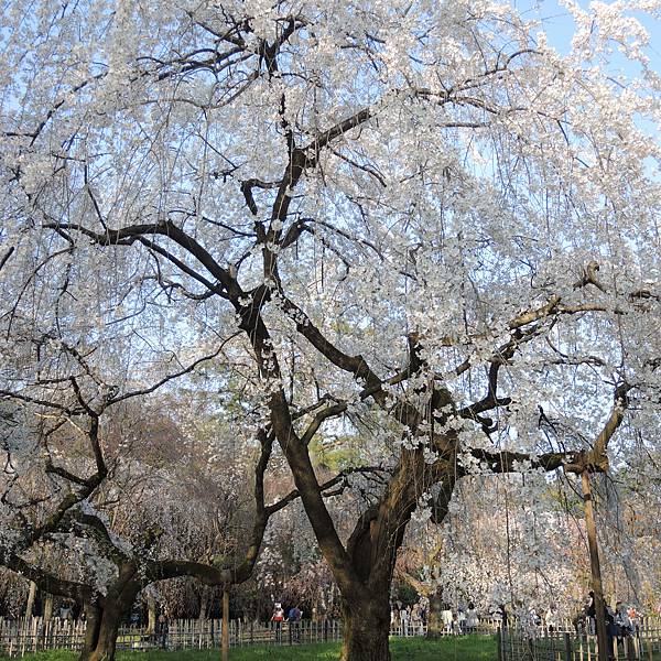 DSCN2034.JPG DSCN2034.JPG