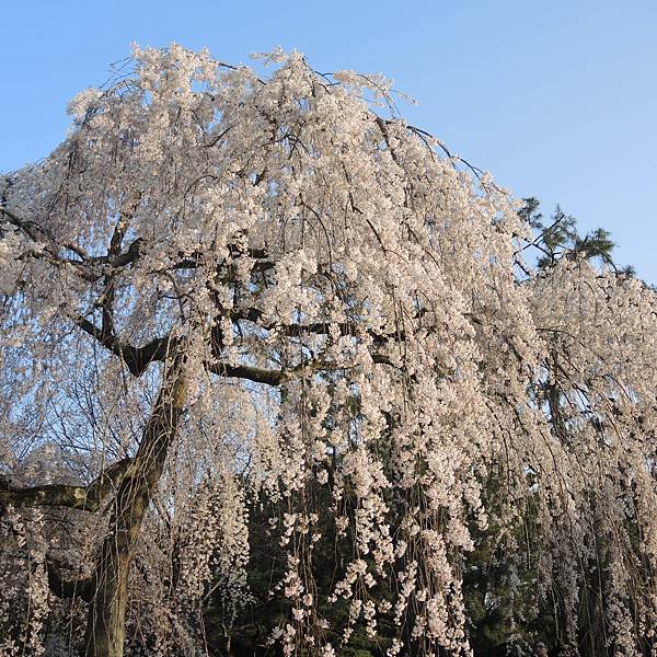 DSCN2039.JPG DSCN2039.JPG