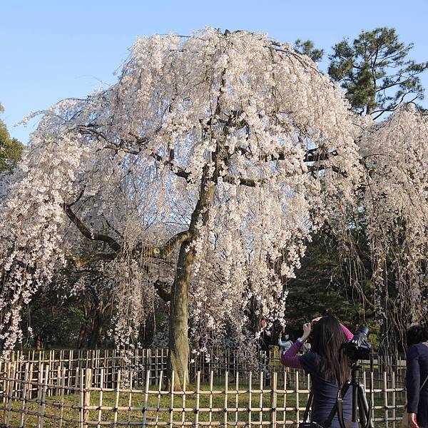 DSCN2038.JPG DSCN2038.JPG